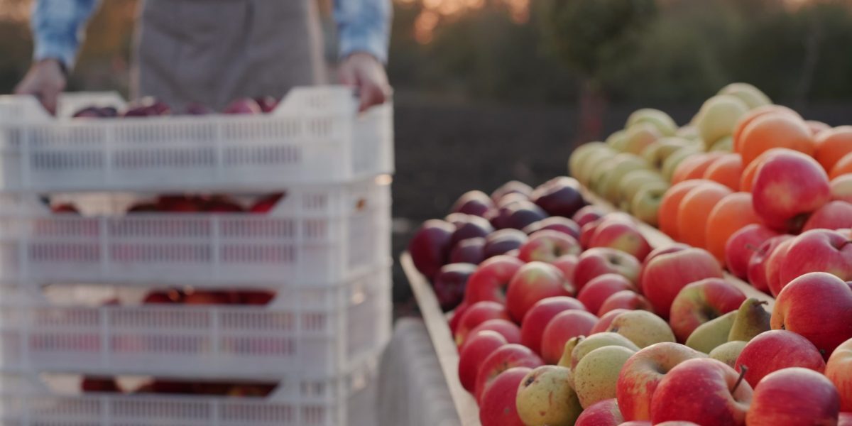 Fructul românesc de lux, tot din import: prețul a căzut la 3,5 lei