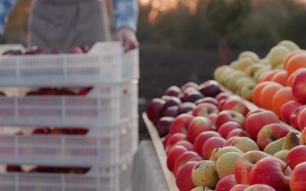 Fructul românesc de lux, tot din import: prețul a căzut la 3,5 lei