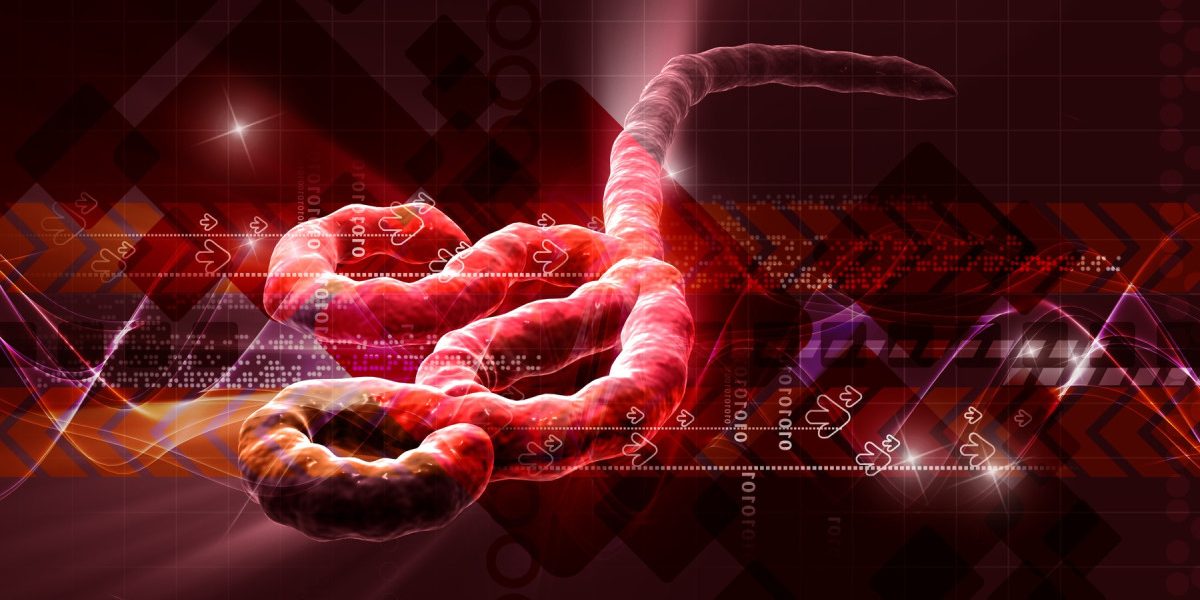 Virusurile: Unde dispar după epidemie și cum revin?
