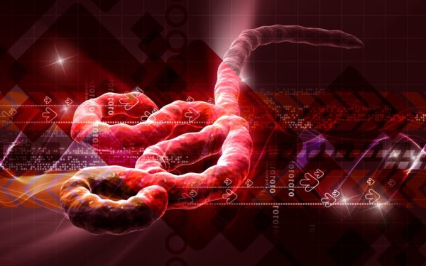 Virusurile: Unde dispar după epidemie și cum revin?