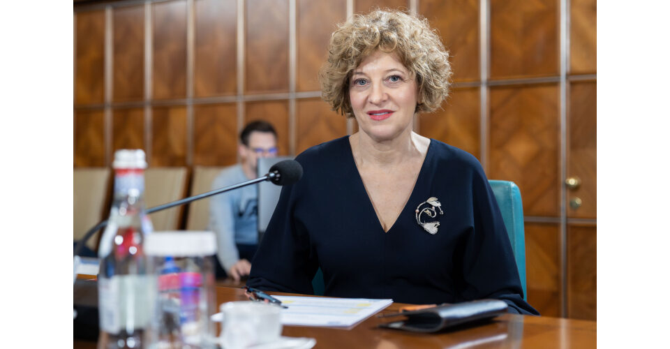Oana Gheorghiu: Proiectul AUR pe drapel, „aberrant și stupid”