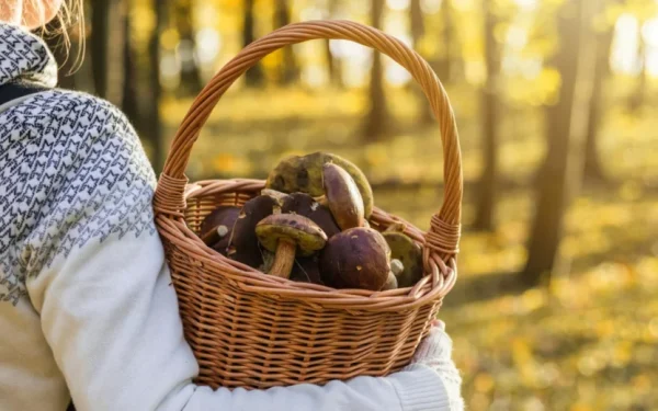 Pericol: Obicei „natural” ucide sau distruge organe
