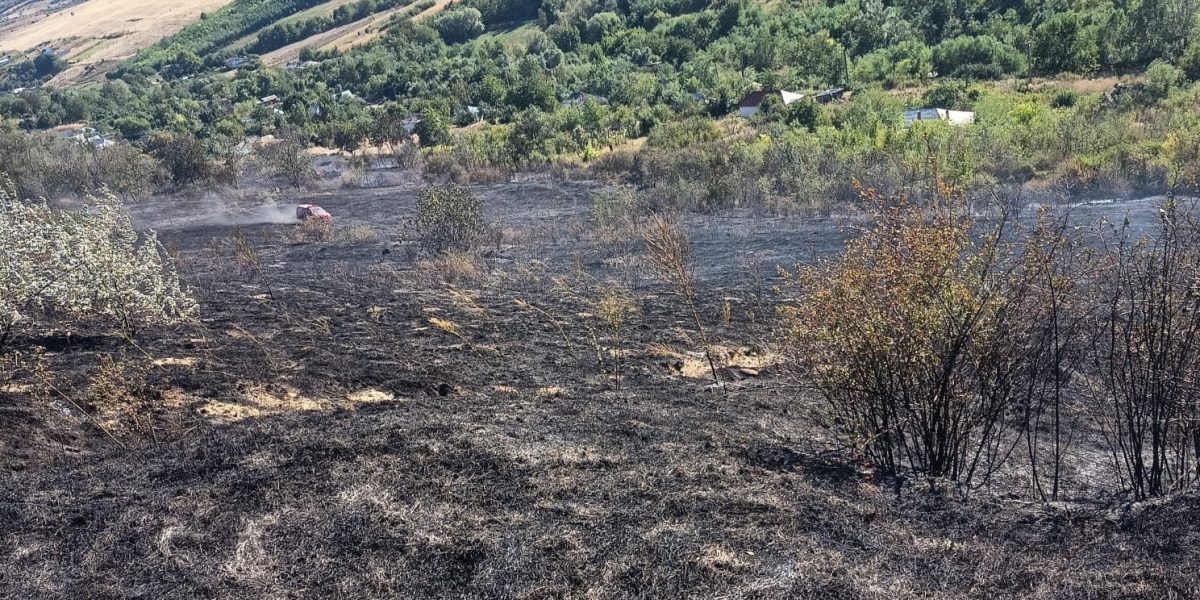 Incendiu violent în Vaslui: 12 hectare mistuite, 7 case salvate