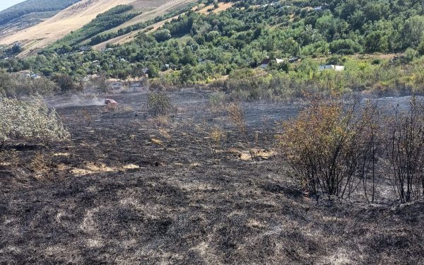 Incendiu violent în Vaslui: 12 hectare mistuite, 7 case salvate