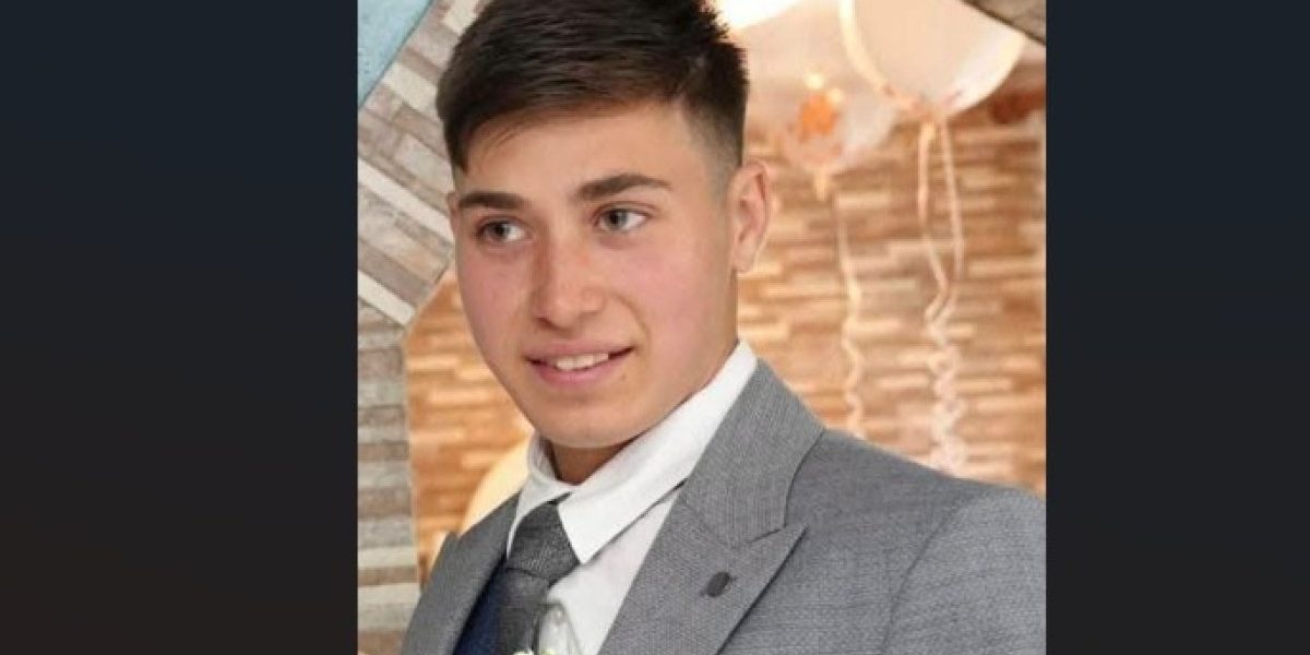 Cioban dispărut la Bistrița: Turma a revenit, tânărul, 19 ani, lipsește