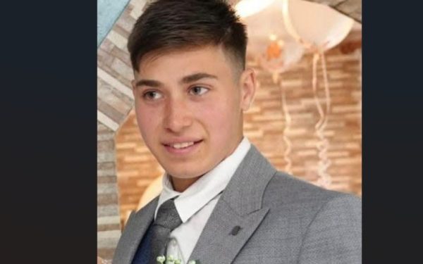 Cioban dispărut la Bistrița: Turma a revenit, tânărul, 19 ani, lipsește